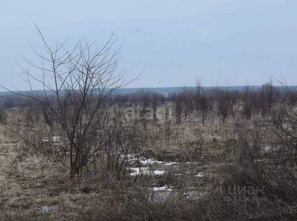 Новогремяченское Воронежская область. Земельный участок объявления.