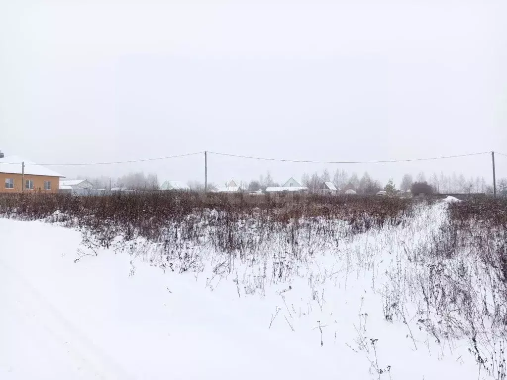 Участок в Мордовия, Кочкуровский район, с. Булгаково Новая ул., 20 ... - Фото 1