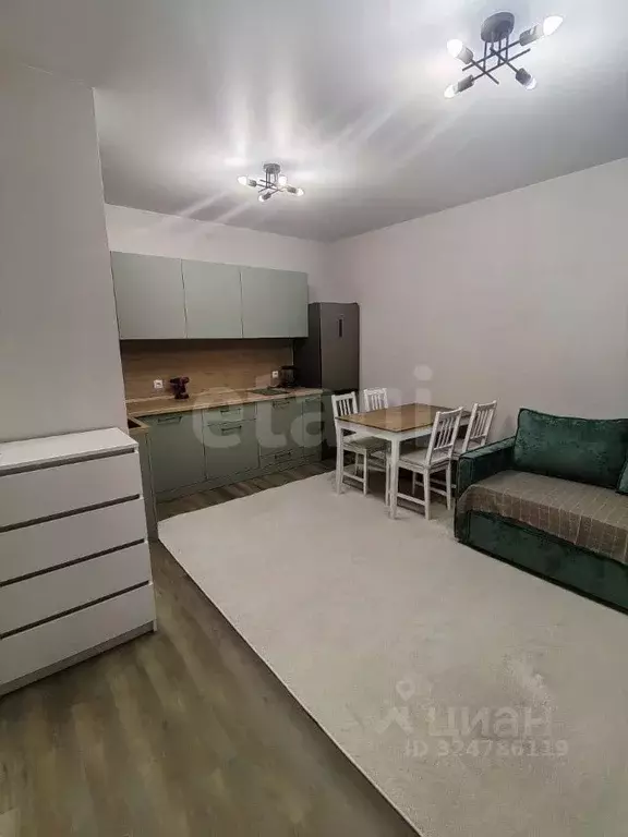 Студия Тюменская область, Тюменский муниципальный округ, д. Патрушева ... - Фото 1