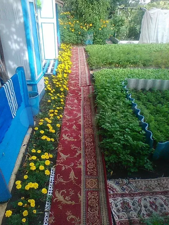 Дача 15 м на участке 7,5 сот. - Фото 0