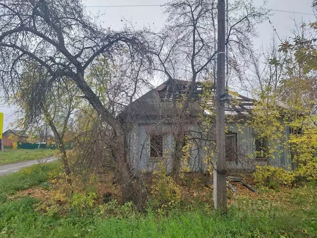 Дом в Свердловская область, Сысертский городской округ, с. Никольское ... - Фото 1