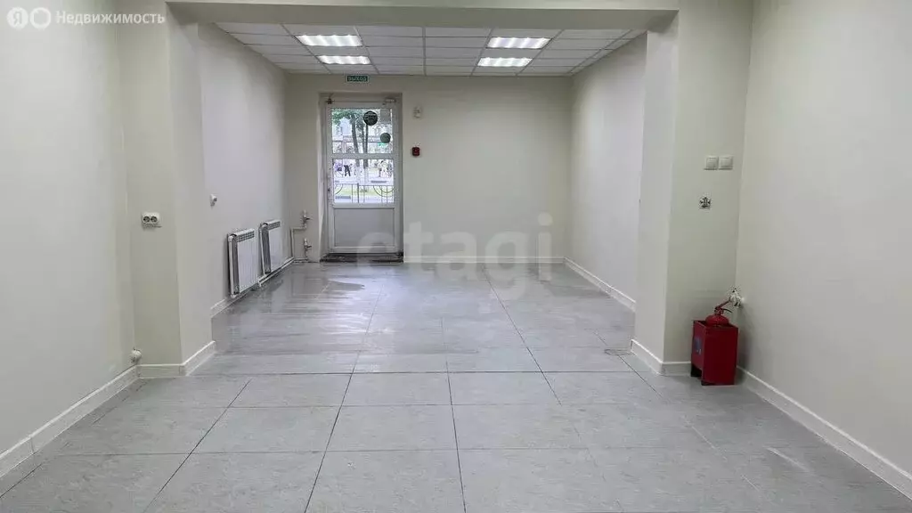 Помещение свободного назначения (47 м) - Фото 1