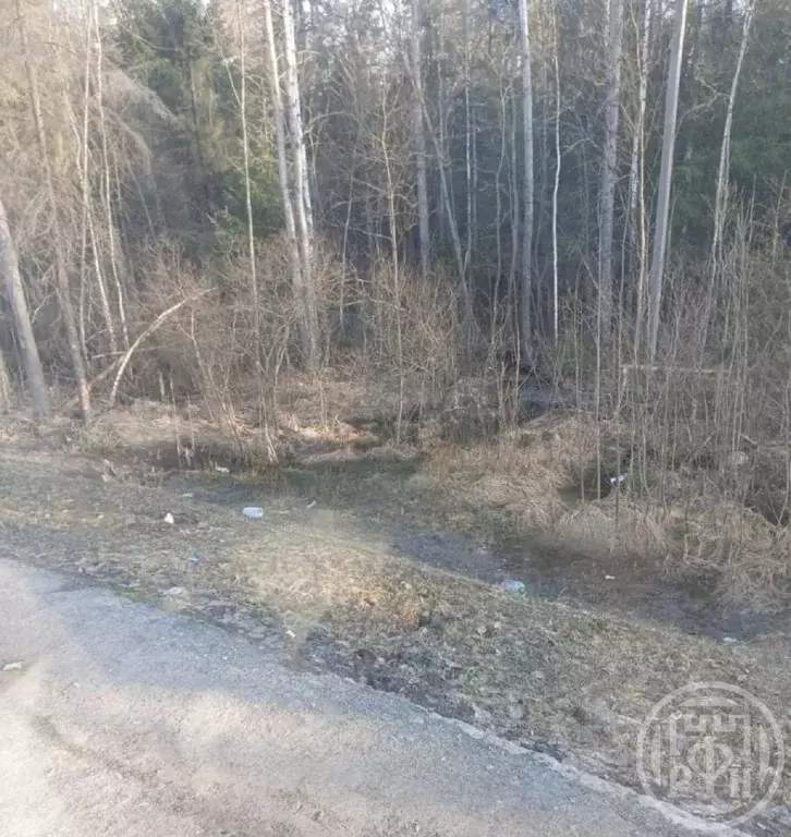 Участок в Ленинградская область, Всеволожский район, Морозовское ... - Фото 2