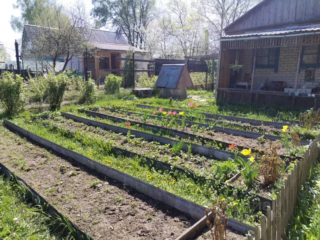 Дом в Брянская область, Брянск Железнодородник СНТ,  (40 м) - Фото 2