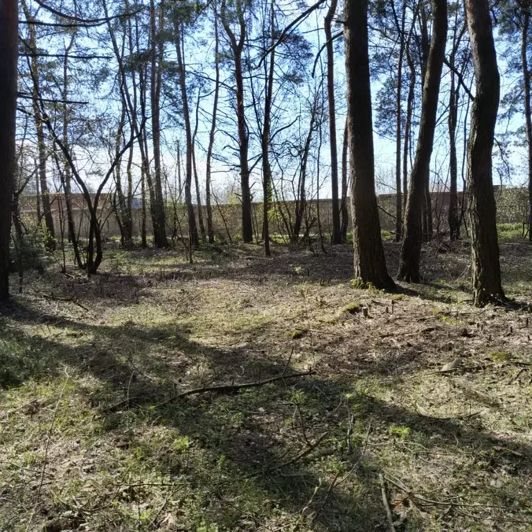 Участок в Московская область, Старая Купавна Богородский городской ... - Фото 2