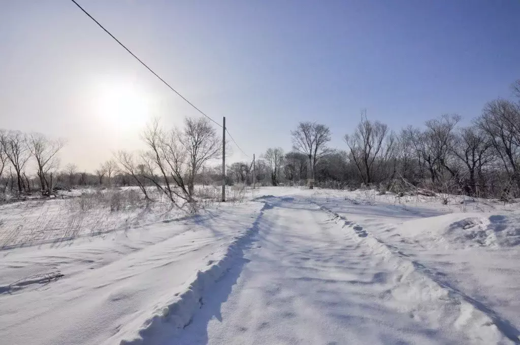 Участок в Сахалинская область, Анивский городской округ, с. ... - Фото 1