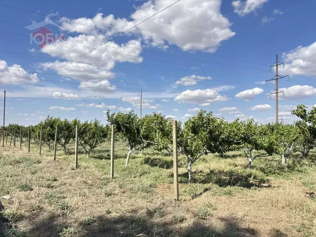 Участок в Крым, Сакский район, Лесновское с/пос, с. Владимировка ул. ... - Фото 2