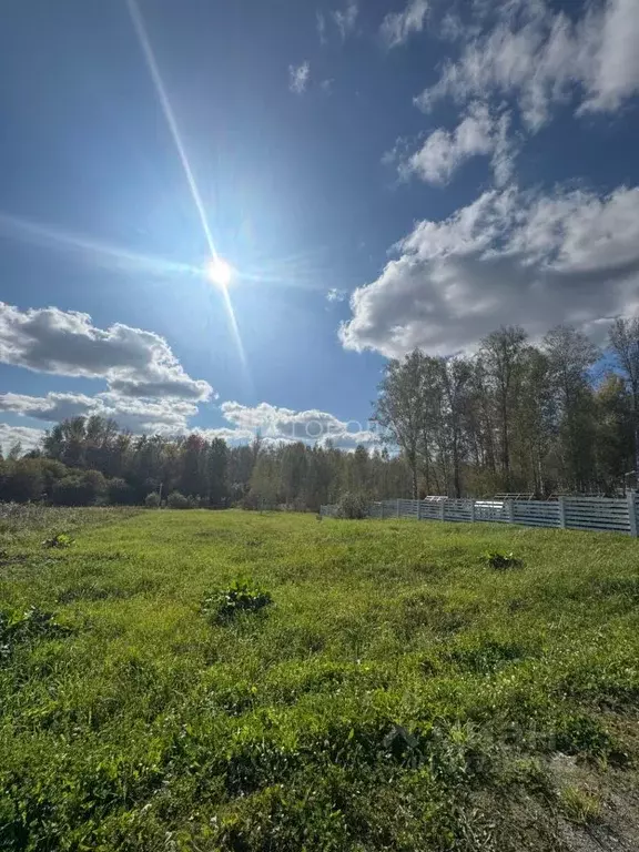 Участок в Новосибирская область, Новосибирский район, Плотниковский ... - Фото 1