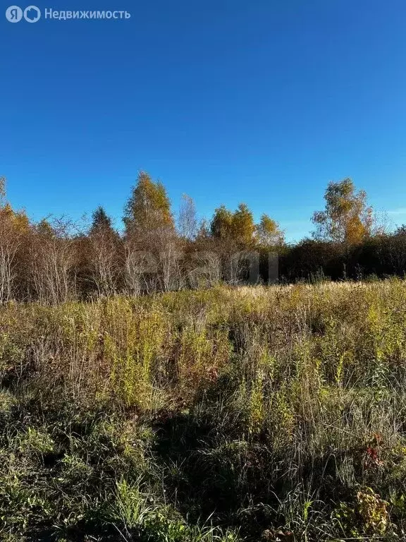 Участок в Калининградская область, Гурьевский муниципальный округ, ... - Фото 1