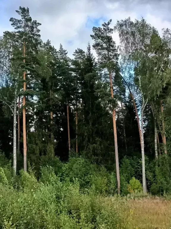 Коттедж в Владимирская область, Александровский район, Каринское ... - Фото 1