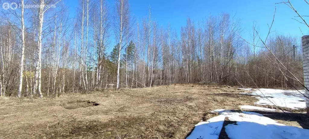 Участок в Кундышское сельское поселение, СТ Заозёрное (6 м) - Фото 2