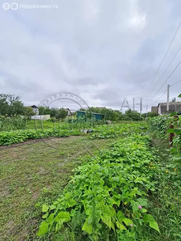 Участок в Курский район, Щетинский сельсовет, СНТ Тускарь, 362 (10 м) - Фото 1