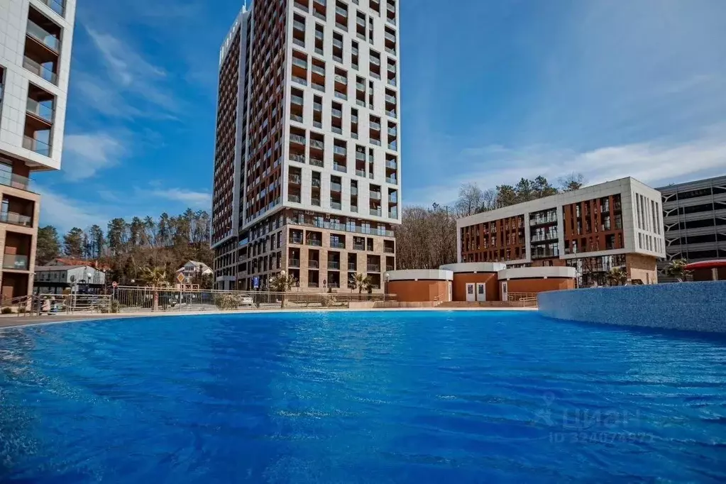 Студия Краснодарский край, Сочи городской округ, Дагомыс пгт ш. ... - Фото 1