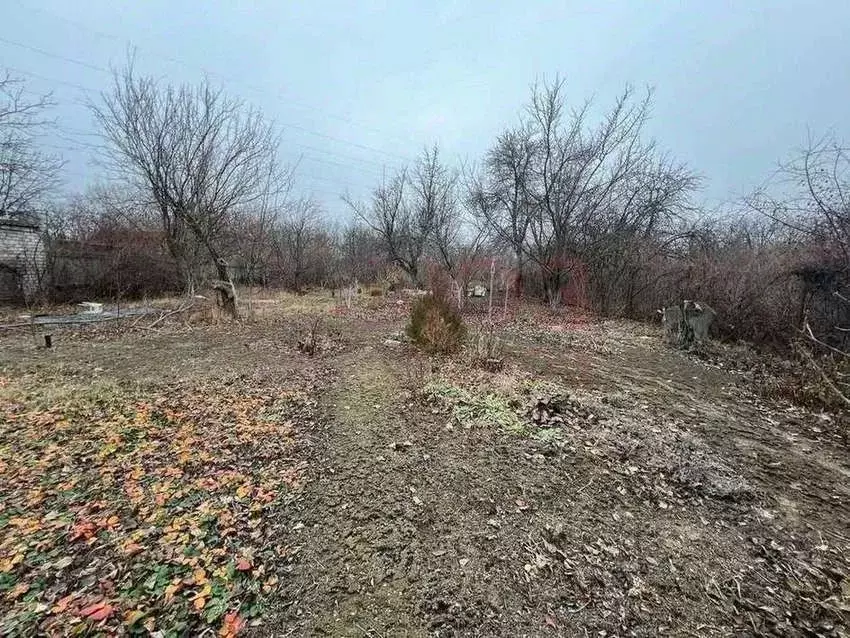 Участок в Волгоградская область, Краснослободск Среднеахтубинский ... - Фото 0