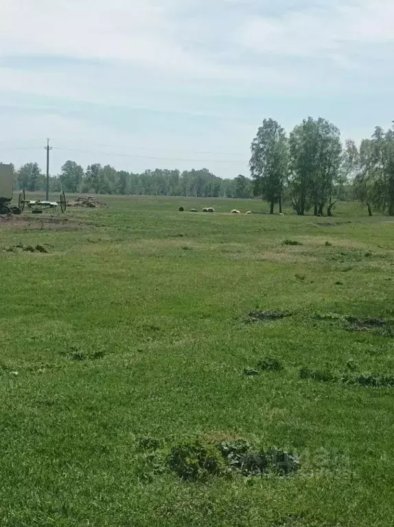 Участок в Омская область, Любинский район, с. Любино-Малороссы ... - Фото 2