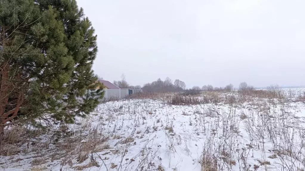 Участок в Владимирская область, Суздальский район, Павловское ... - Фото 0