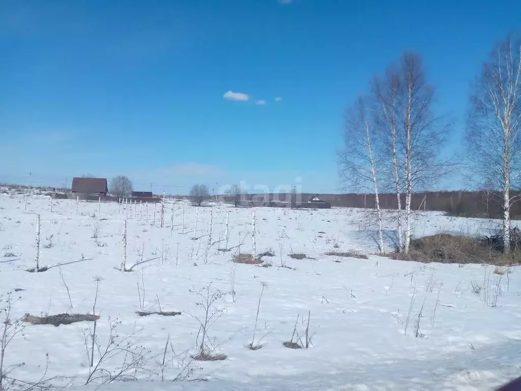 участок в нижегородская область, дальнеконстантиновский муниципальный . - Фото 1