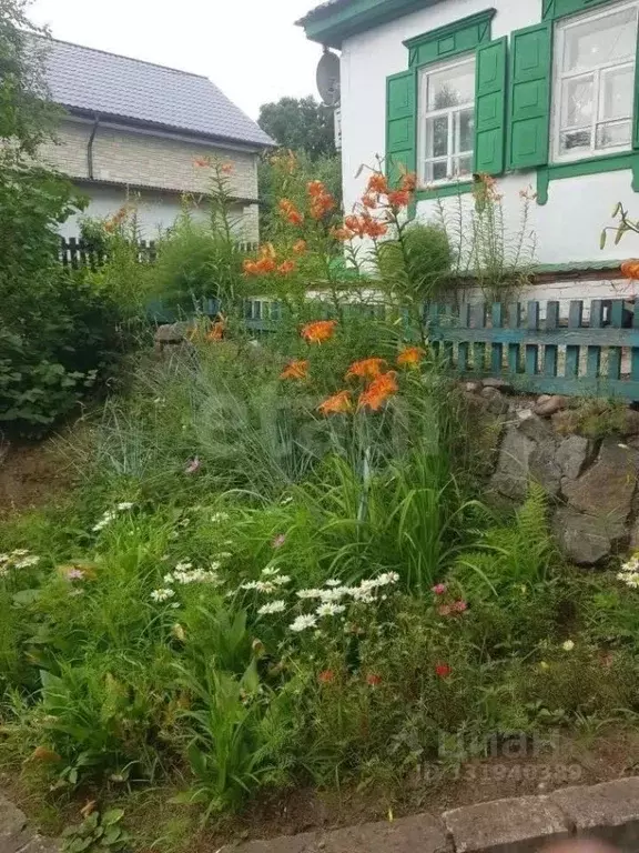 Дом в Амурская область, Благовещенск городской округ, с. Белогорье ул. ... - Фото 1