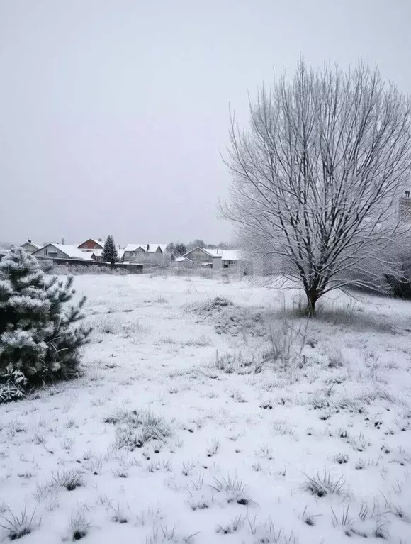 Участок в Тульская область, Тула городской округ, д. Харино ул. ... - Фото 1