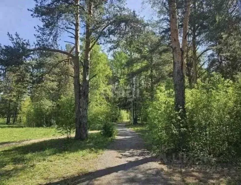 Участок в Пермский край, Добрянский городской округ, д. Залесная  (8.0 ... - Фото 0