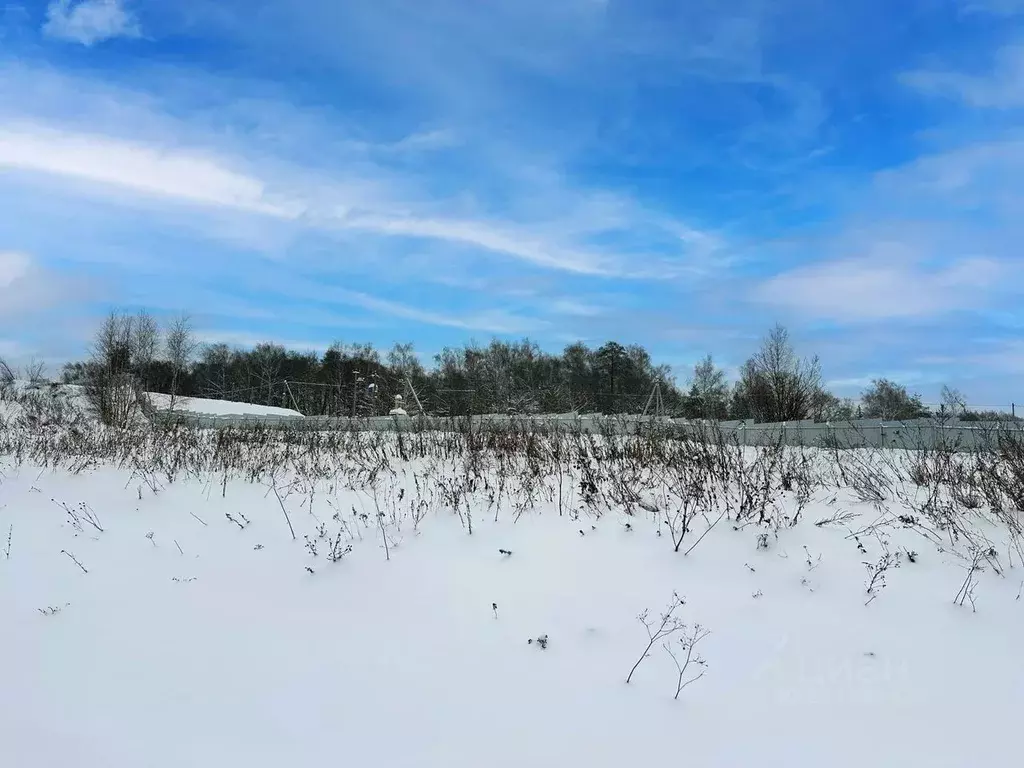 Участок в Московская область, Раменский муниципальный округ, с. ... - Фото 2
