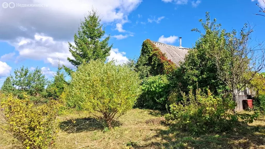 Дом в деревня Изборск, Псковская улица, 36 (19 м) - Фото 1