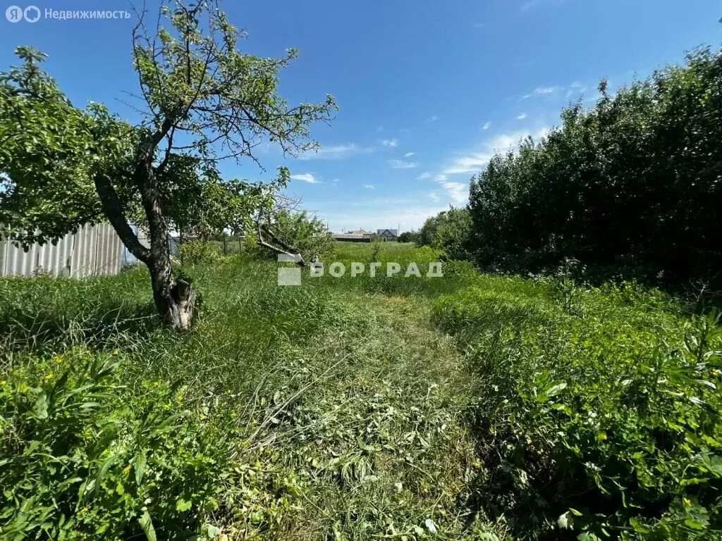 Дом в Грибановский, Садовая улица (50 м) - Фото 1