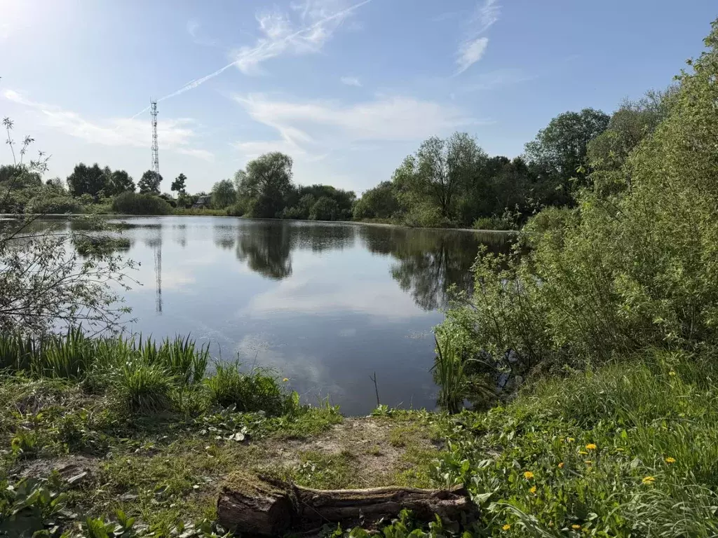 Участок в Московская область, Звенигород Одинцовский городской округ, ... - Фото 1