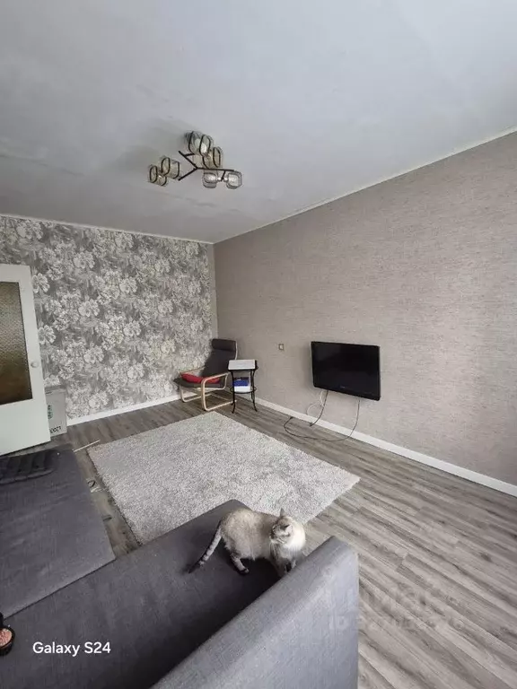 3-к кв. Омская область, Омск пос. Амурский, ул. Багратиона, 23к1 (65.0 ... - Фото 2