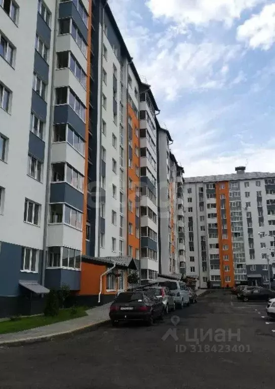 Студия Курская область, Курск просп. Надежды Плевицкой, 35 (21.7 м) - Фото 0
