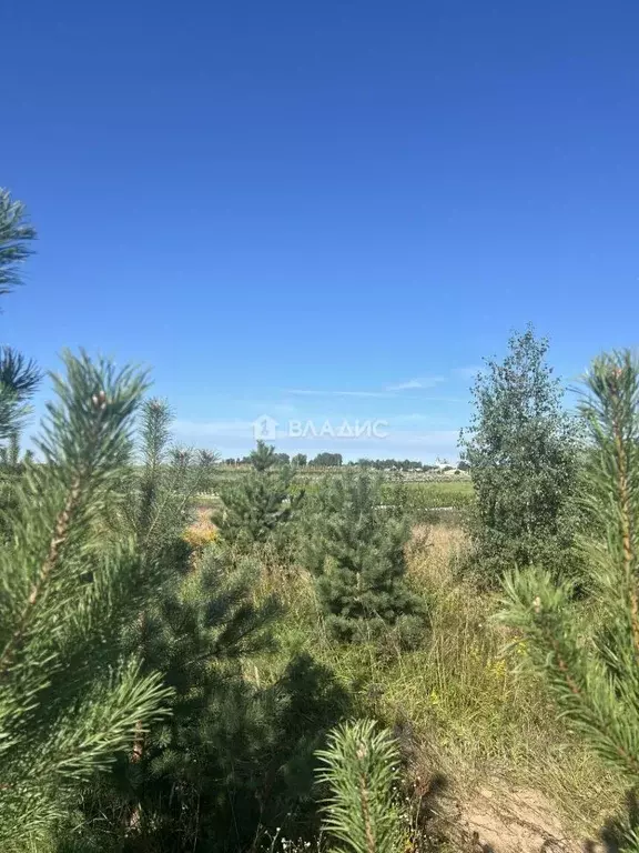 Участок в Владимирская область, Ковровский район, Доброград ... - Фото 1