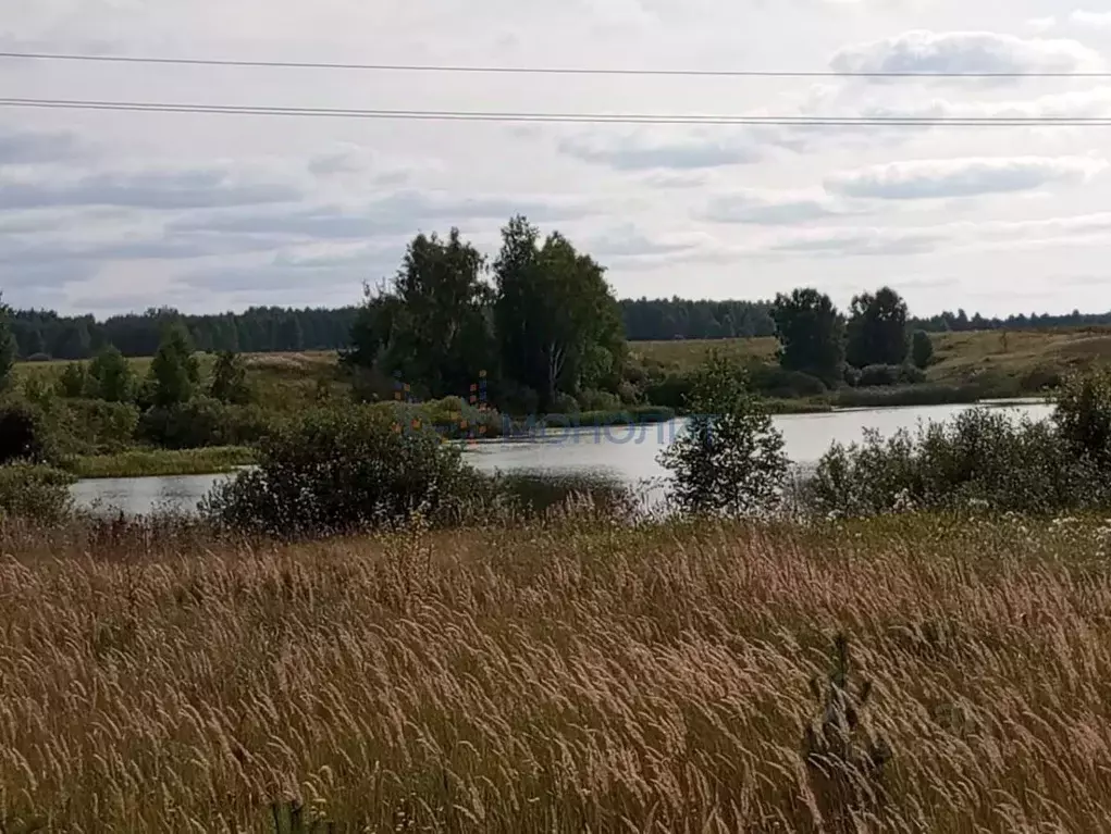 Участок в Нижегородская область, Богородский муниципальный округ, д. ... - Фото 0