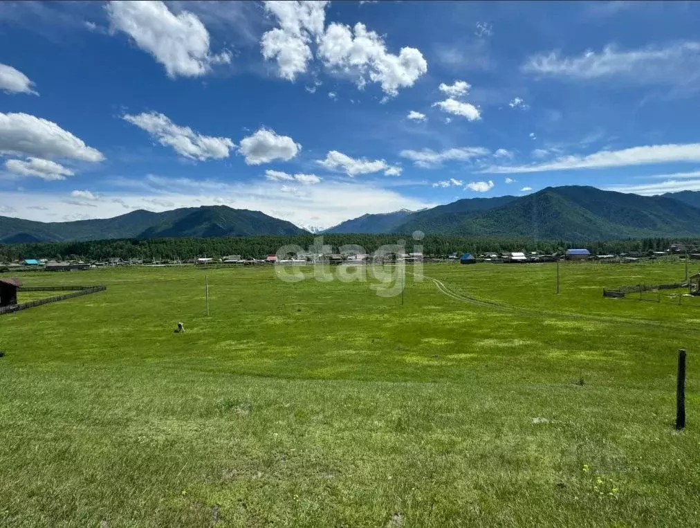 Участок в Алтай, Усть-Коксинский район, с. Тюнгур пер. Лучистый, 9 ... - Фото 1