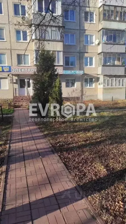 Торговая площадь в Ульяновская область, Ульяновск ул. Рябикова, 48 (45 ... - Фото 2