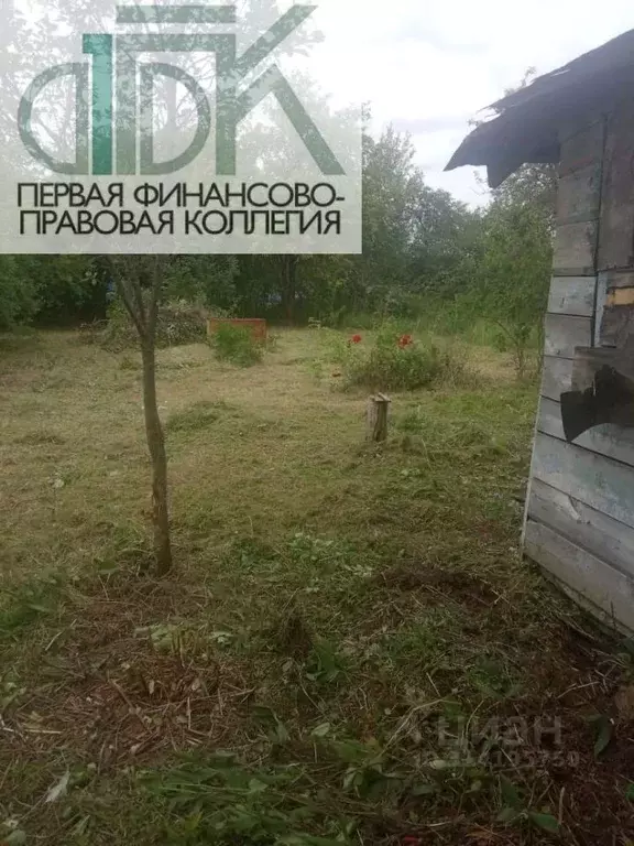 Участок в Нижегородская область, Арзамас № 6 СНТ, 298 (6.0 сот.) - Фото 1