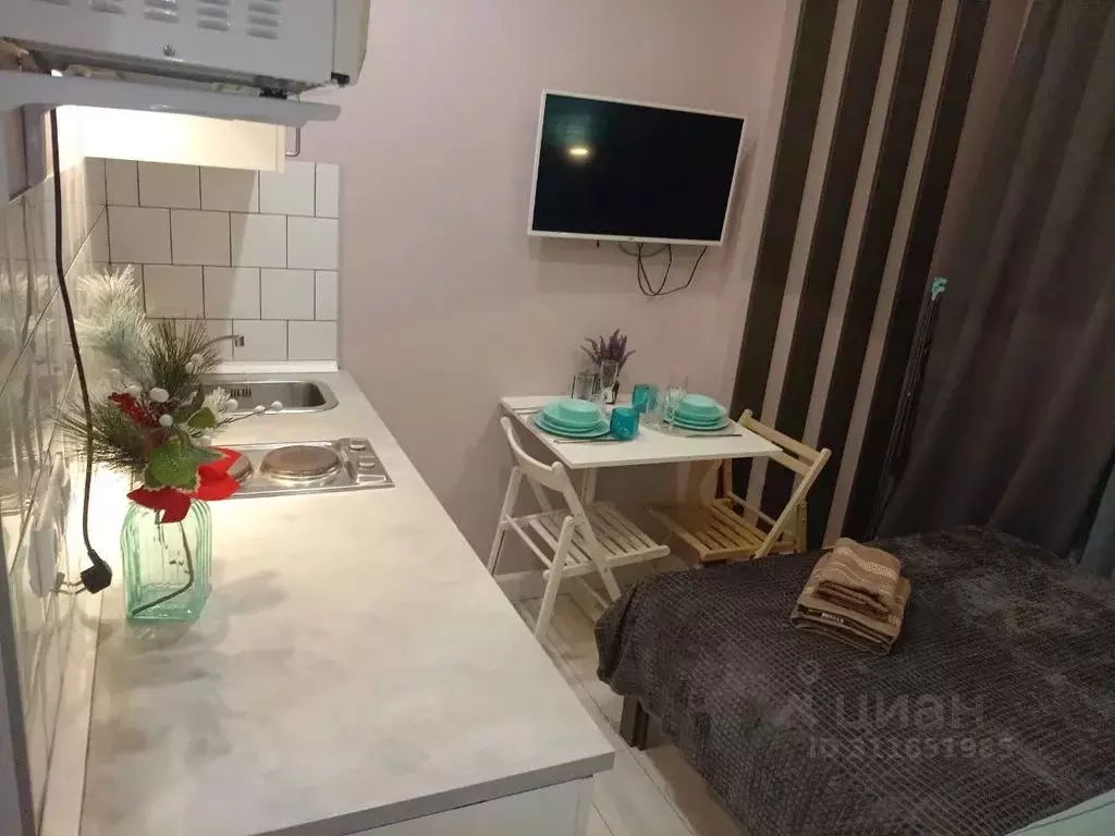 Студия Московская область, Котельники ул. Сосновая, 1к3 (18.0 м) - Фото 2