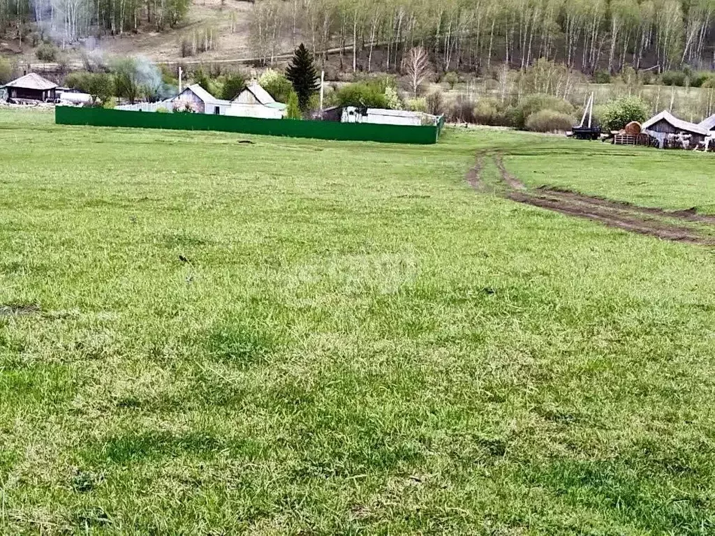 Участок в Кемеровская область, Кемеровский район, пос. Благодатный ... - Фото 0