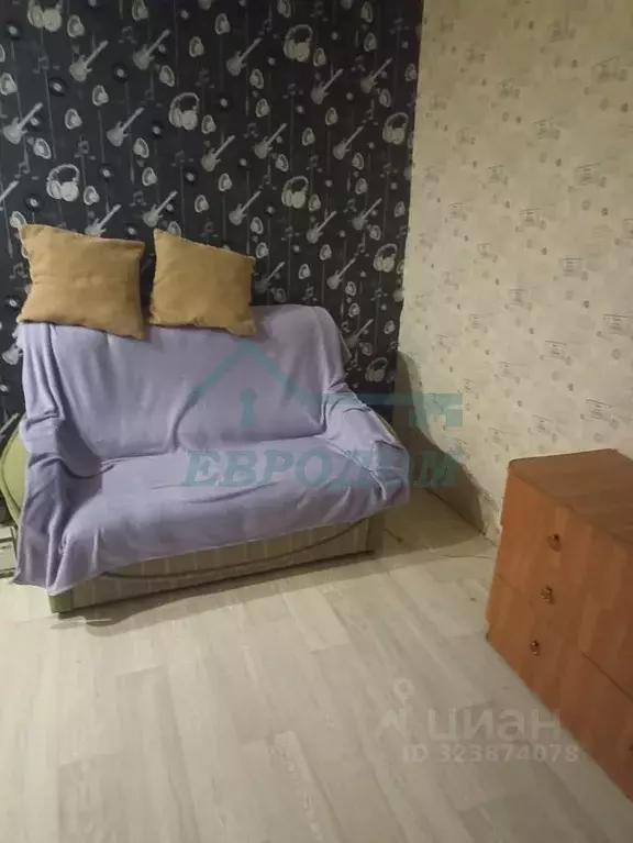 1-к кв. Новосибирская область, Новосибирск Народная ул., 81 (21.0 м) - Фото 1