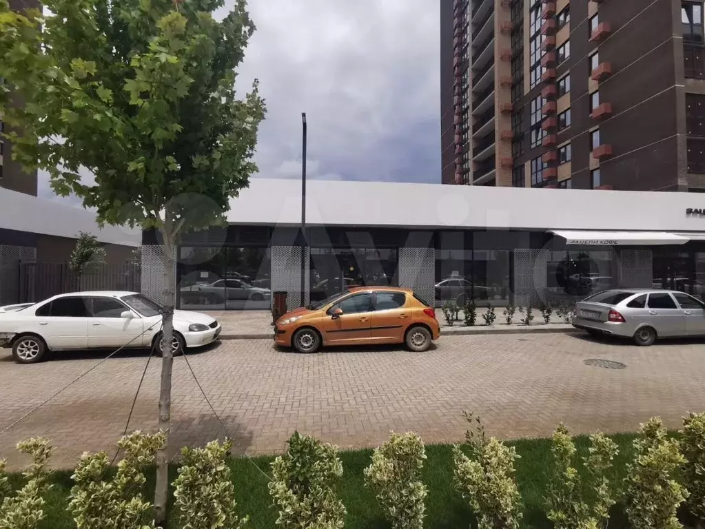 Сдам помещение свободного назначения, 75 м - Фото 1