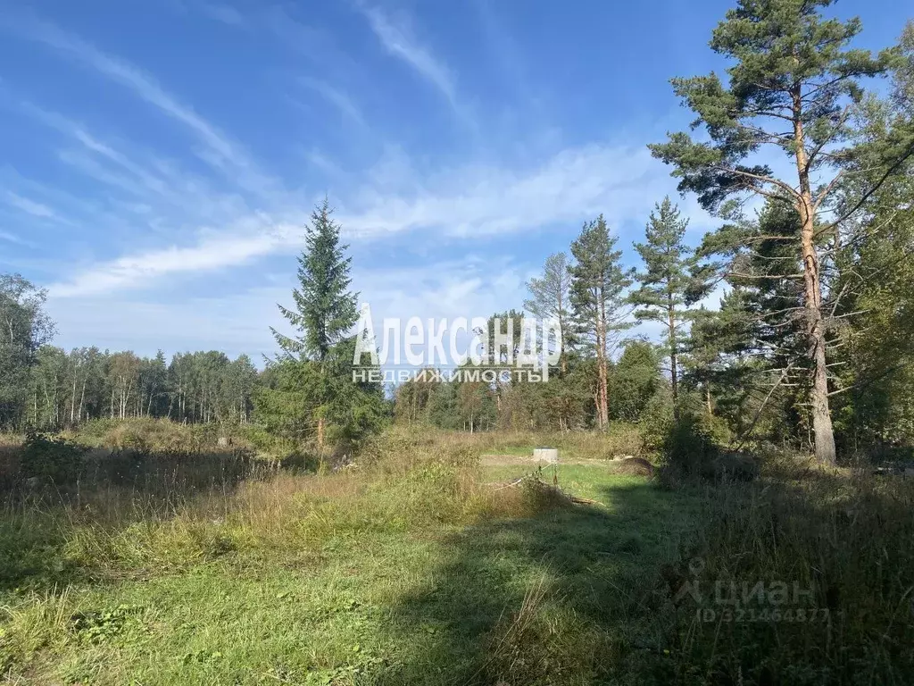 Участок в Ленинградская область, Приозерский район, Ларионовское ... - Фото 1