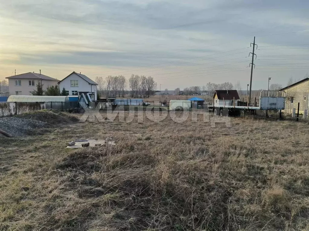 Участок в Новосибирская область, Новосибирский район, Станционный ... - Фото 1