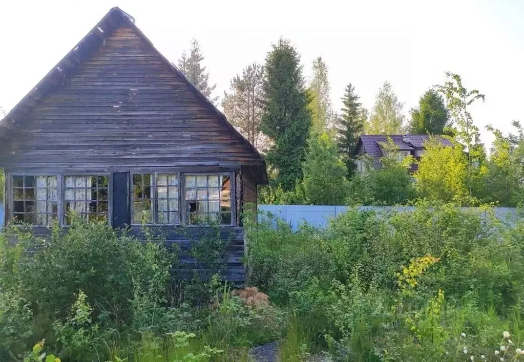 Участок в Ленинградская область, Выборгский район, Рощинское городское ... - Фото 1