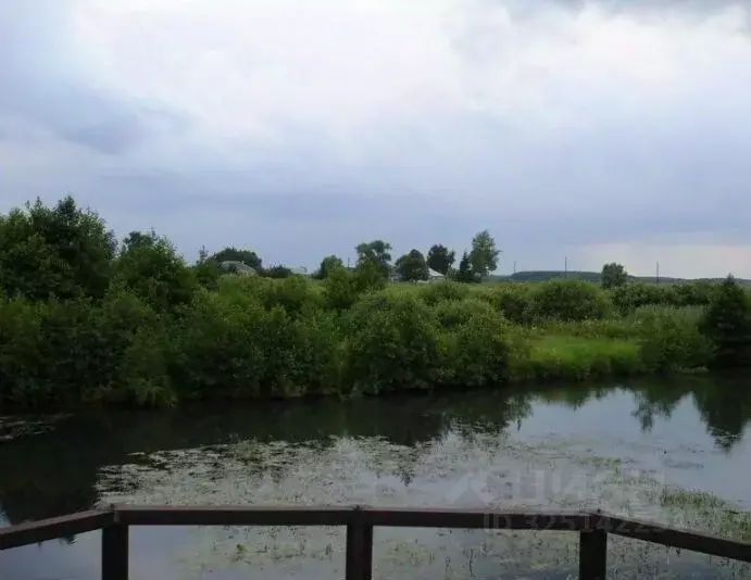 Участок в Московская область, Луховицы муниципальный округ, д. Марьина ... - Фото 1