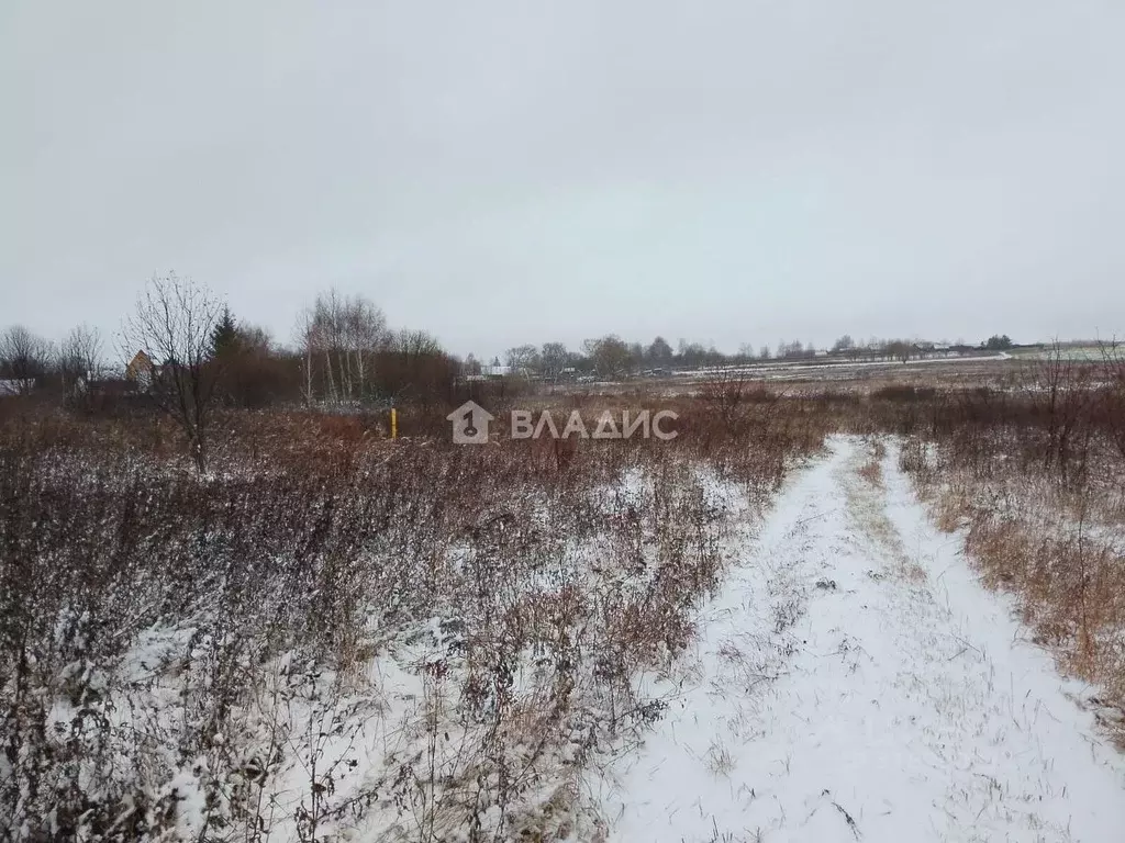 Участок в Владимирская область, Владимир Лунево мкр, ул. Луневская ... - Фото 1