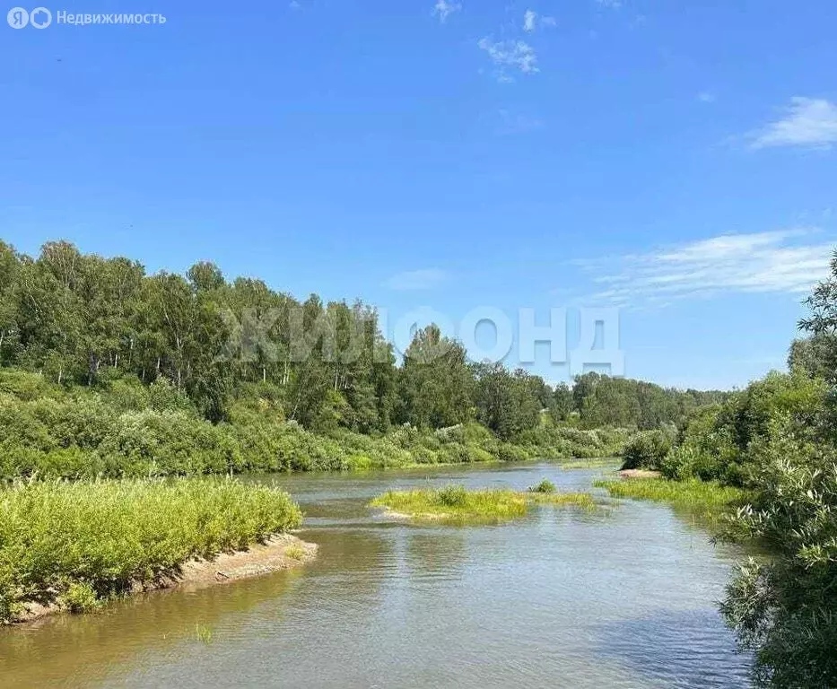 Дом в Репьевский сельсовет, СТ Вега, Сосновая улица (36 м) - Фото 1