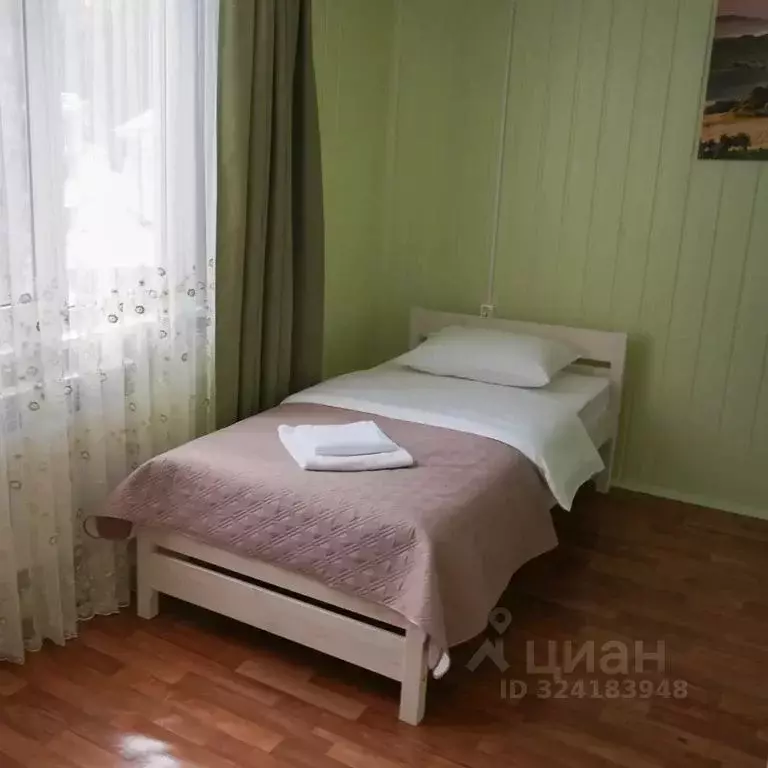 Дом в Нижегородская область, Чкаловск  (100 м) - Фото 2