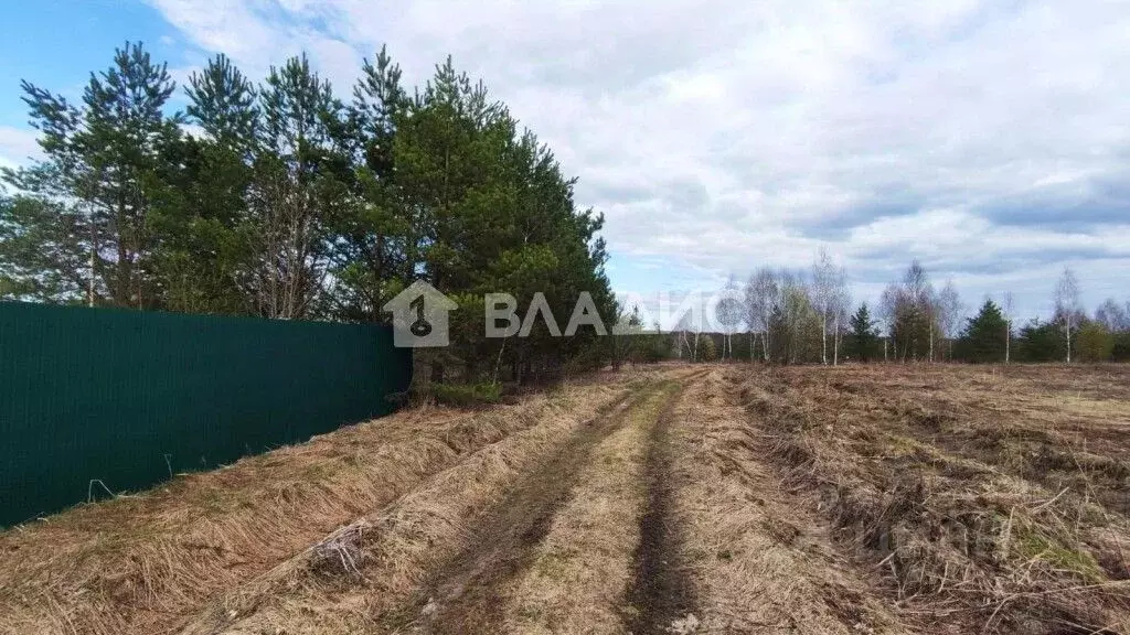 Участок в Владимирская область, Суздальский район, Селецкое ... - Фото 0