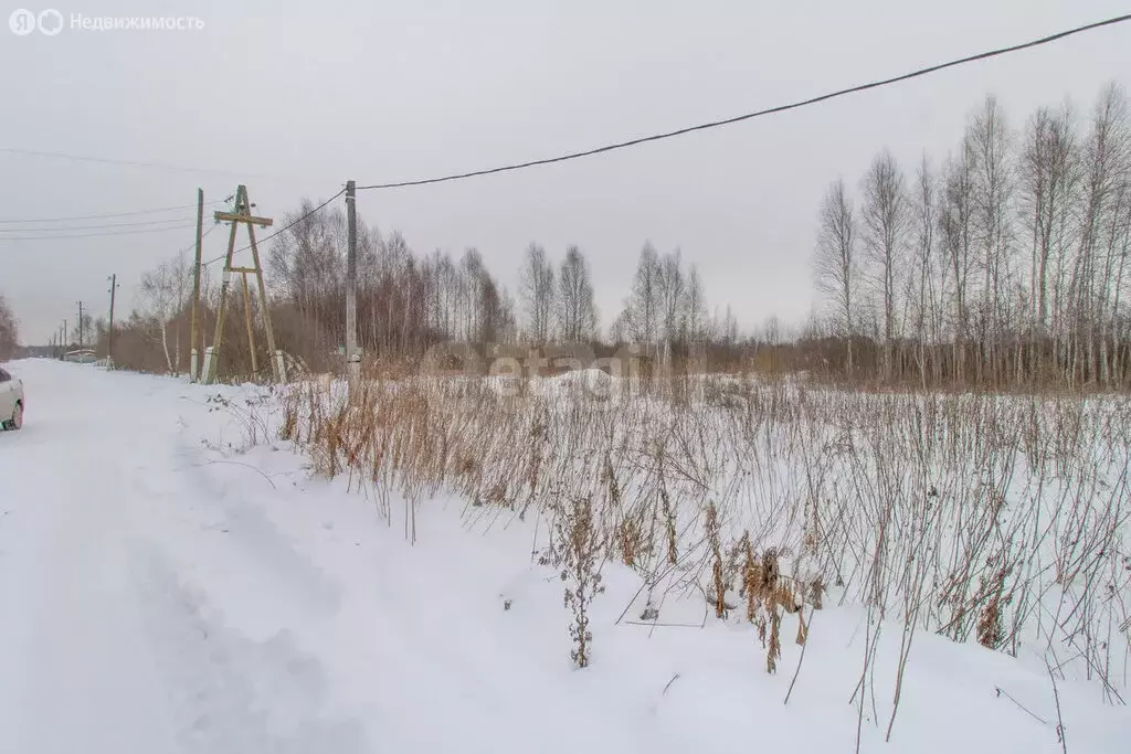 Участок в Тюменская область, Нижнетавдинский муниципальный округ, СНТ ... - Фото 2