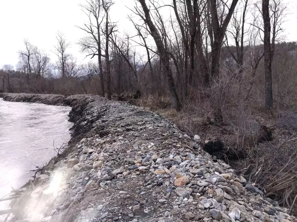 Участок в Алтай, Майминский район, Поселок филиал  (15.0 сот.) - Фото 1
