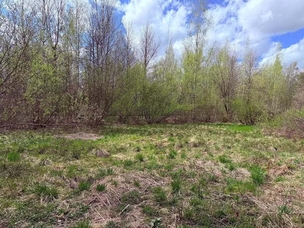 Участок в Санкт-Петербург, Санкт-Петербург, Павловск Уголек СНТ, 2-я ... - Фото 2